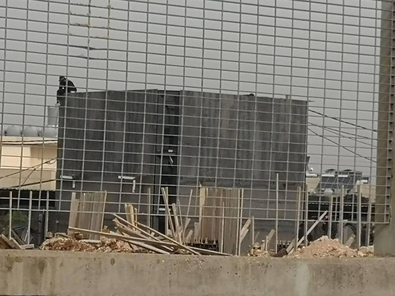 حسن نصرالله