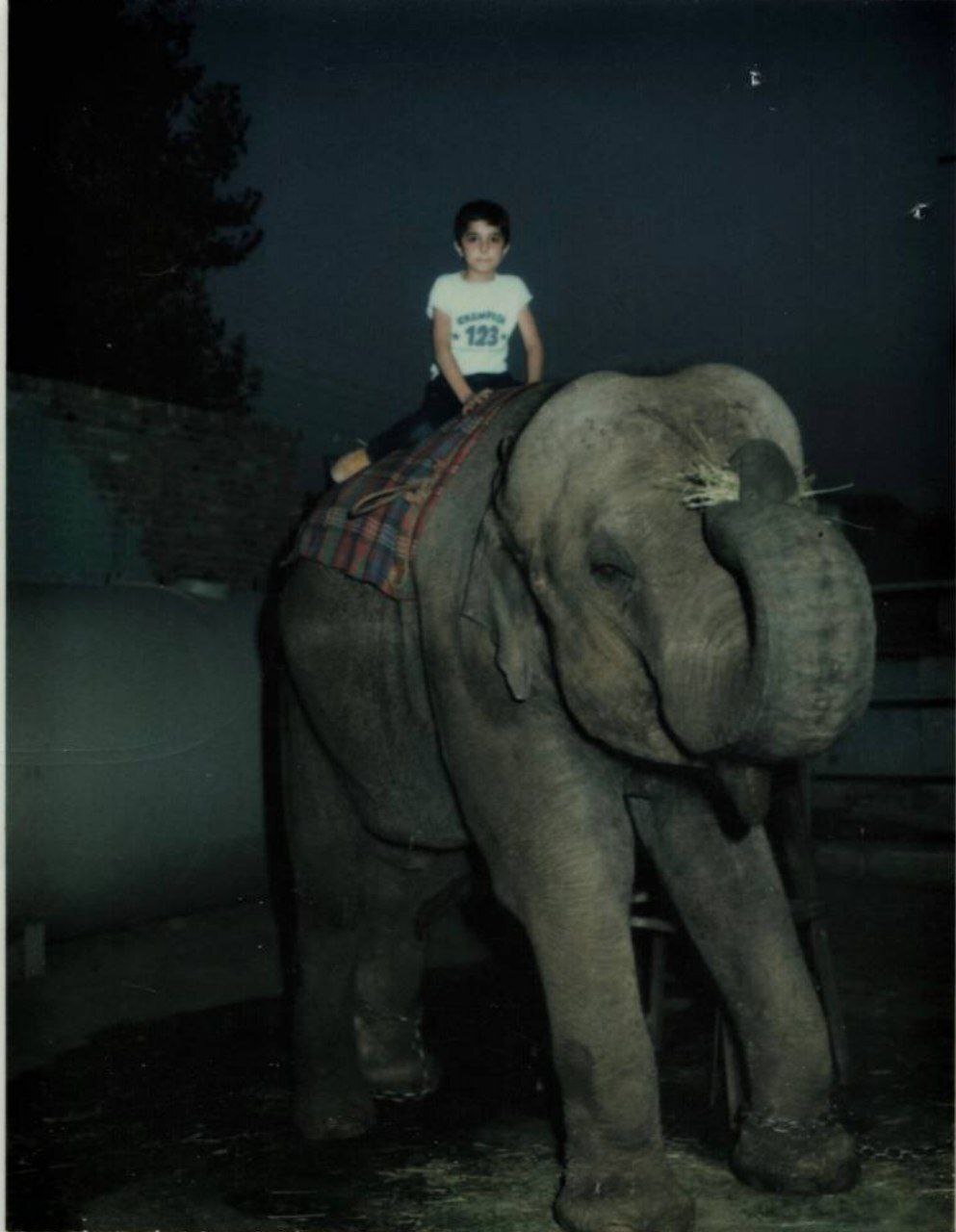 کودکی سوار بر فیل حدود ۶۰ سال پیش