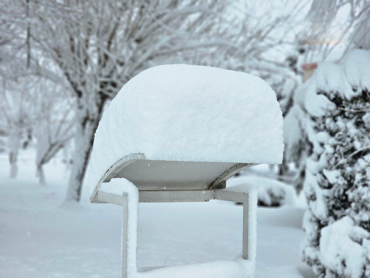 مدفون شدن خودرو‌ها