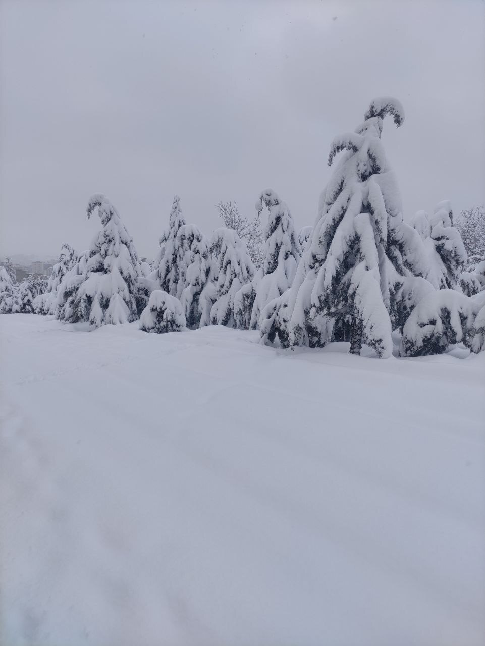 میزان بارش برف در ارومیه