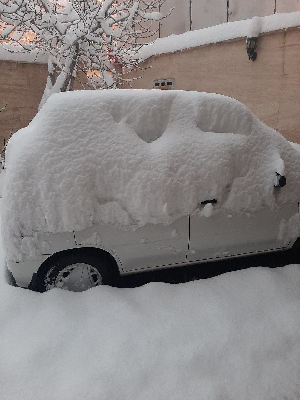 عکس/ بارش سنگین برف در اراک