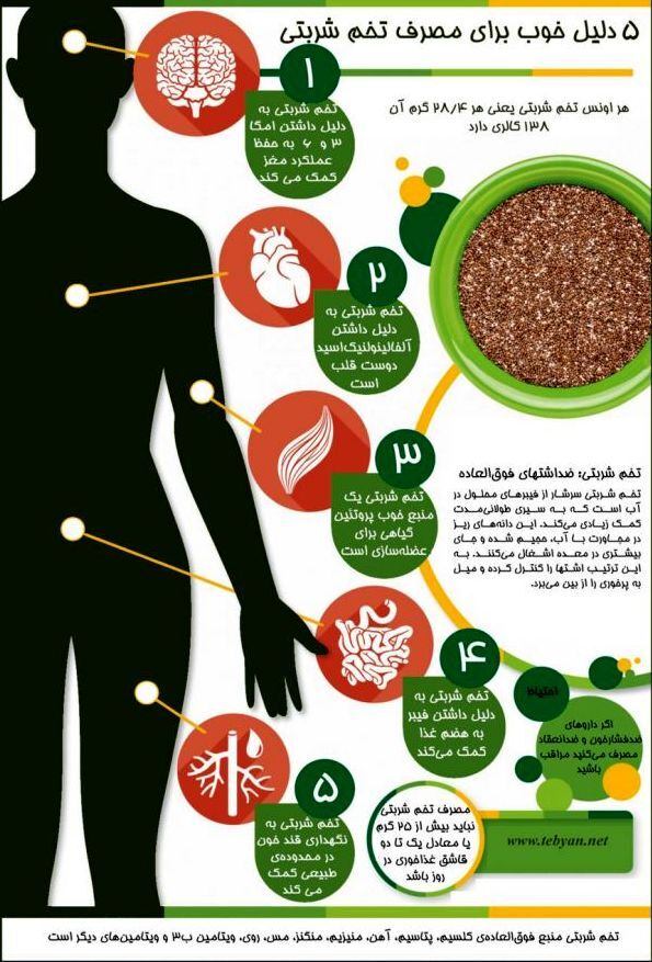 اینفوگرافی/ بهترین دانه برای کم‌کردن وزن