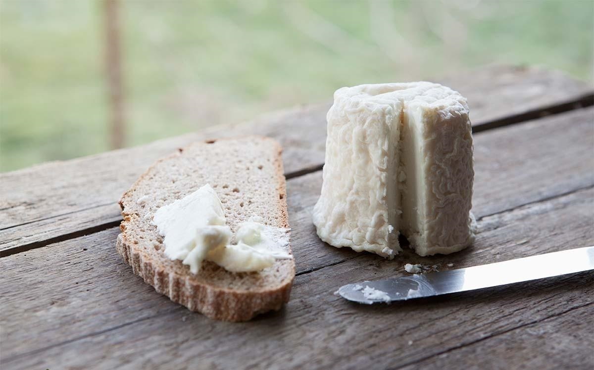 قیمت باورنکردنی پنیر الاغ کیلویی ۸۰ میلیون تومان! قیمت باورنکردنی پنیر الاغ کیلویی ۸۰ میلیون تومان!