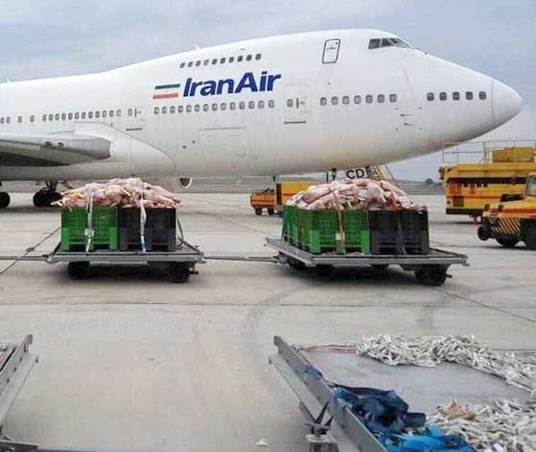قیمت گوشت‌