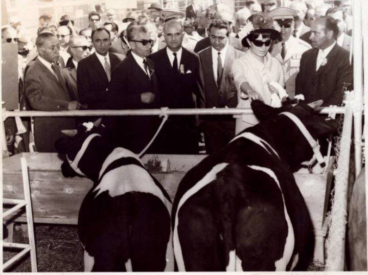 بازدید محمدرضا پهلوی و ملکه ۶۴ سال پیش