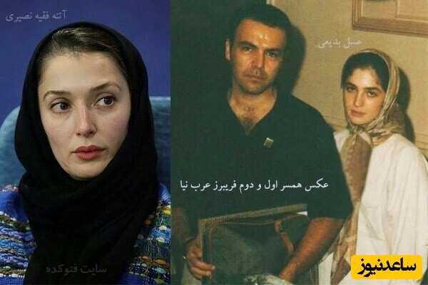 فریبرز عرب نیا