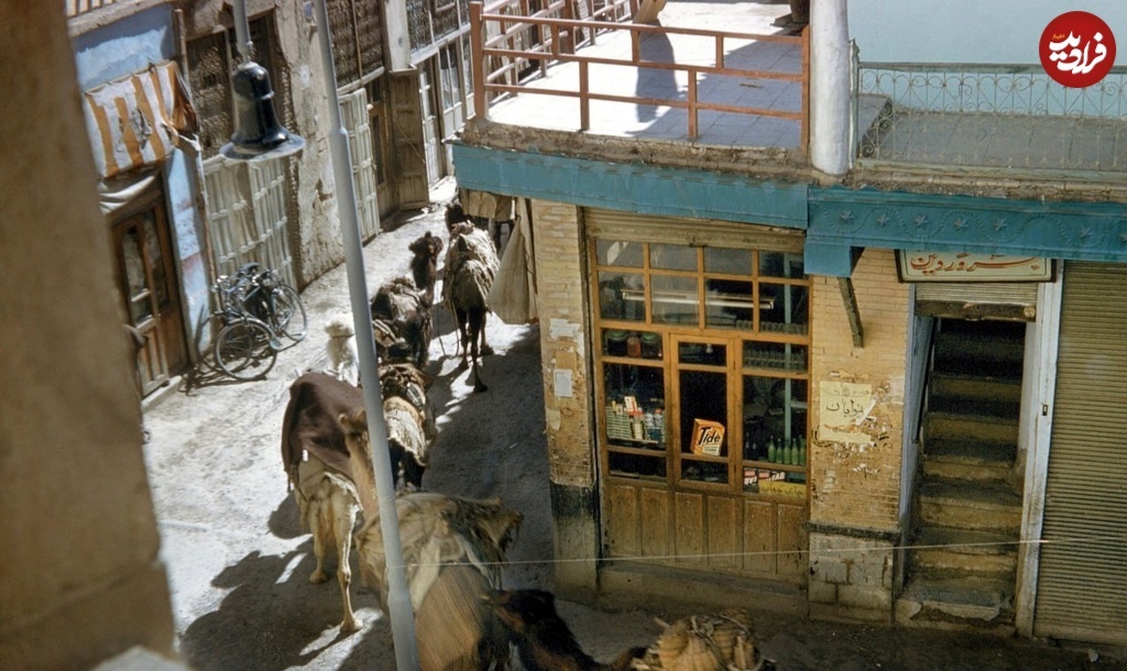 کاروان شتر‌ها