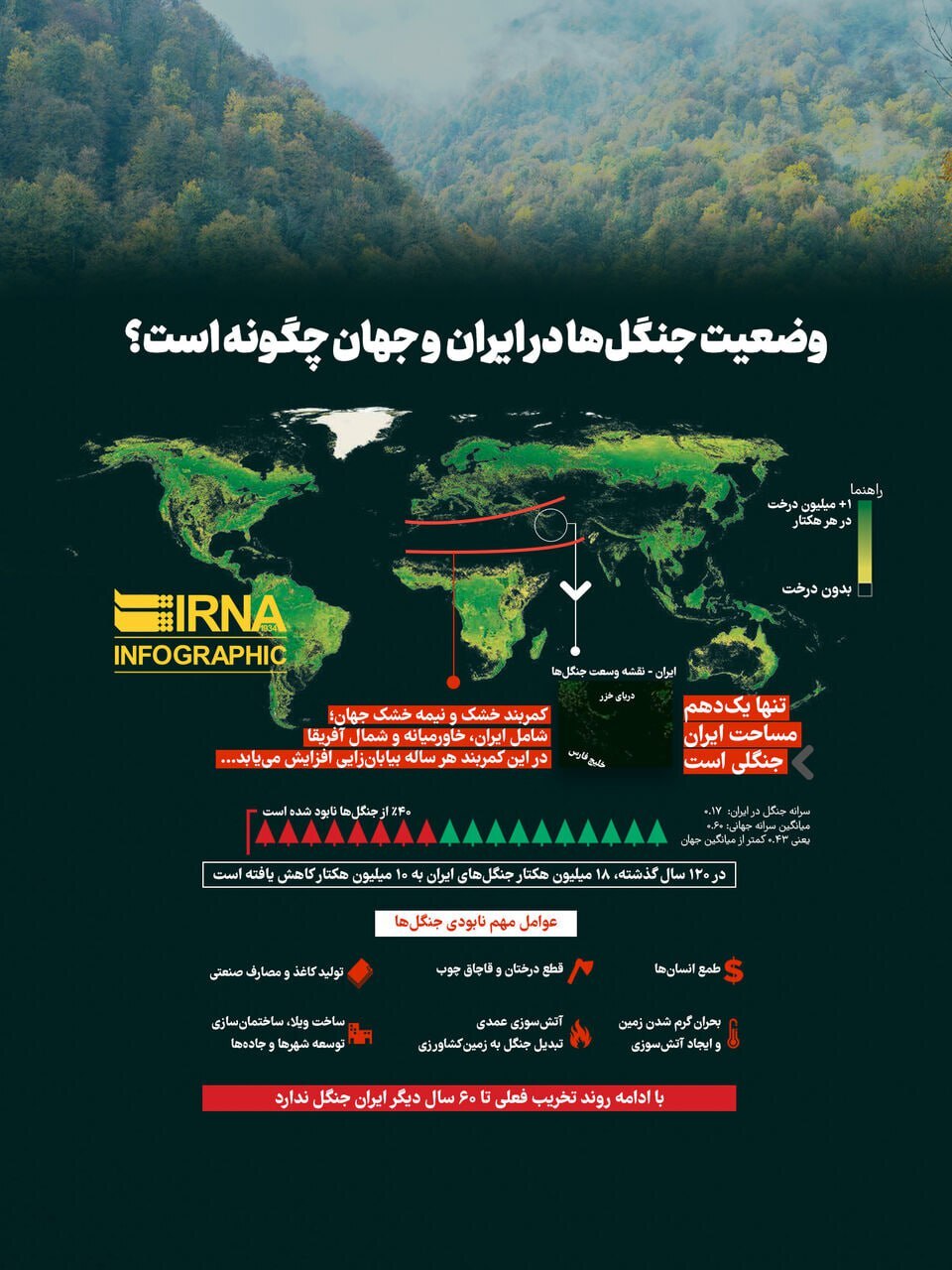 وضعیت جنگل‌ها در ایران و جهان چگونه است؟