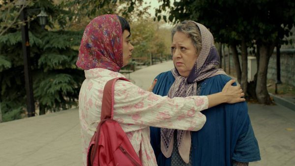 هفته شلوغ قوه قضاییه از شلاق مهدی یراحی تا دورهمی معماران