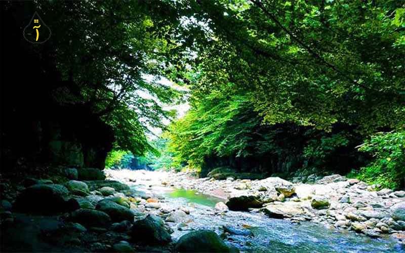 برای خرید ویلا در شمال چه نکاتی را باید رعایت کنیم؟!