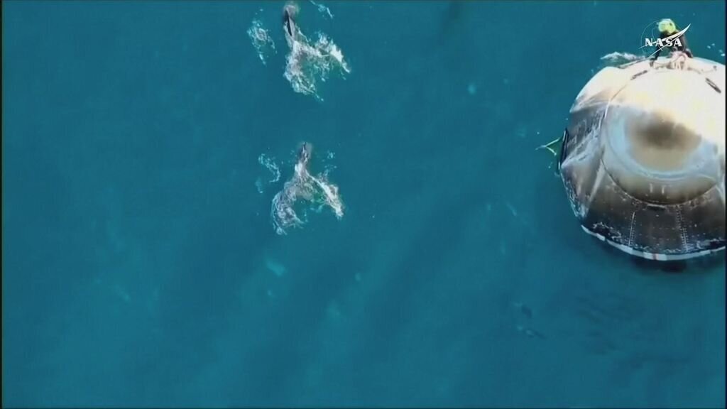 استقبال دلفین‌ها از فضانوردان بازگشته به زمین + عکس