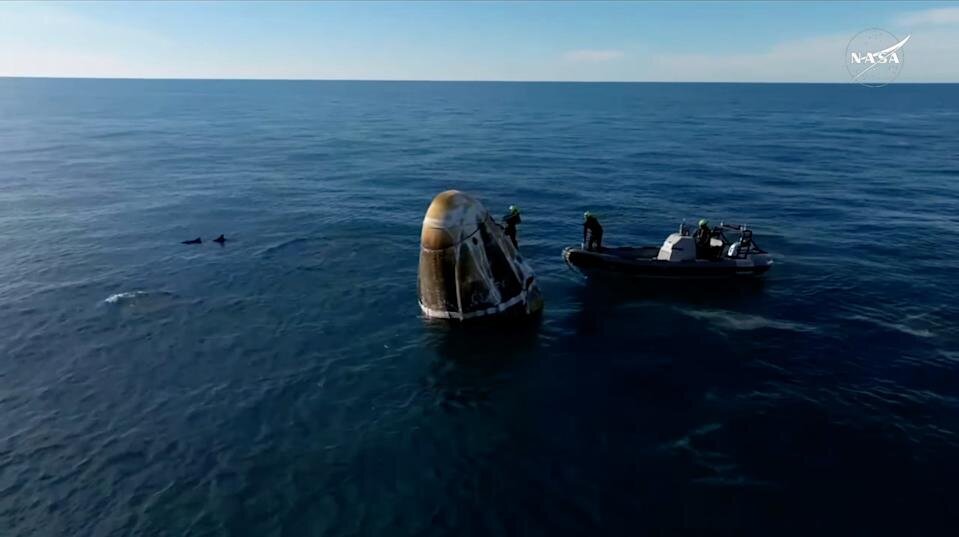 استقبال دلفین‌ها از فضانوردان بازگشته به زمین + عکس