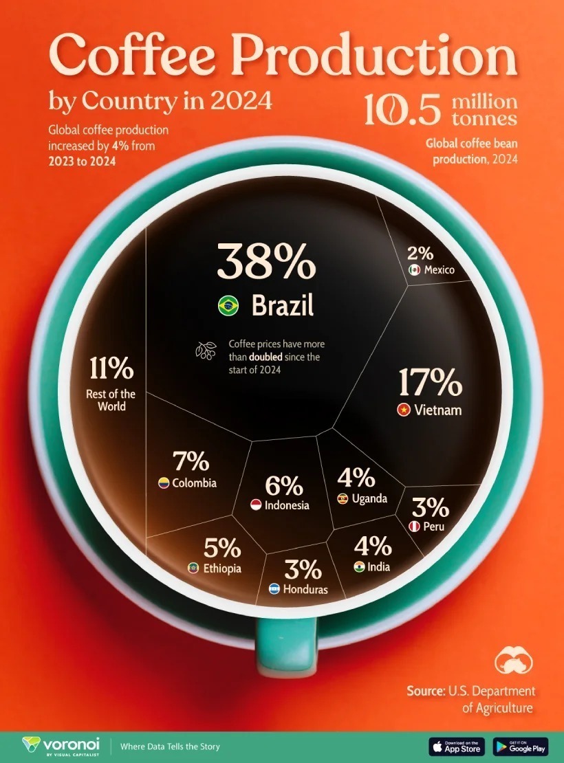 رتبه بندی برترین تولیدکنندگان قهوه در سال ۲۰۲۴