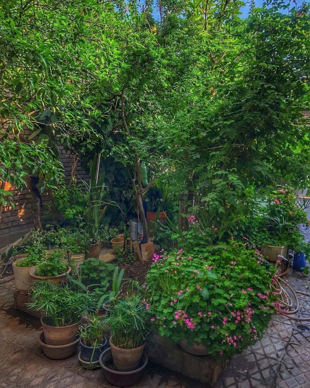 خانه‌های حیاط دار