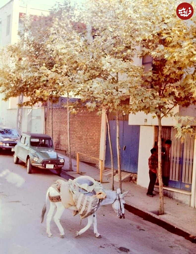 محله‌های تهران