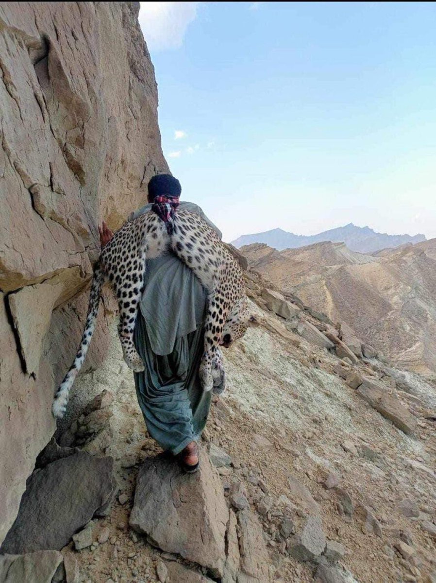 شکار یک پلنگ ایرانی در پاکستان