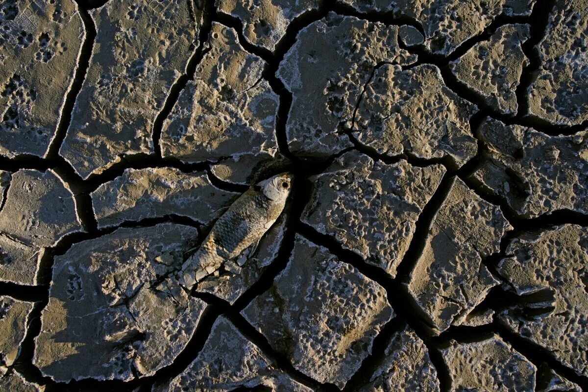 توهم ترسالی در کشور؛ ایران وارد چهارمین سال خشکسالی پیاپی شد
