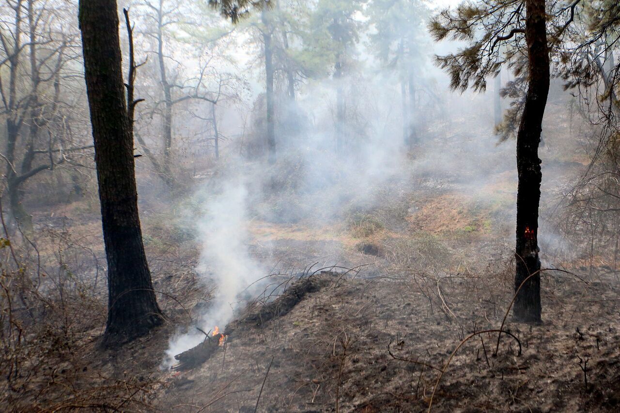 آتش سوزی جنگل‌های خفر