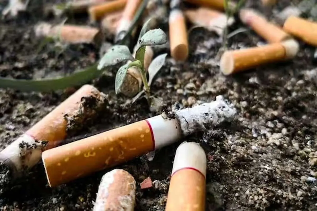 تولید ته سیگار در کشور‌های مختلف چگونه است؟
