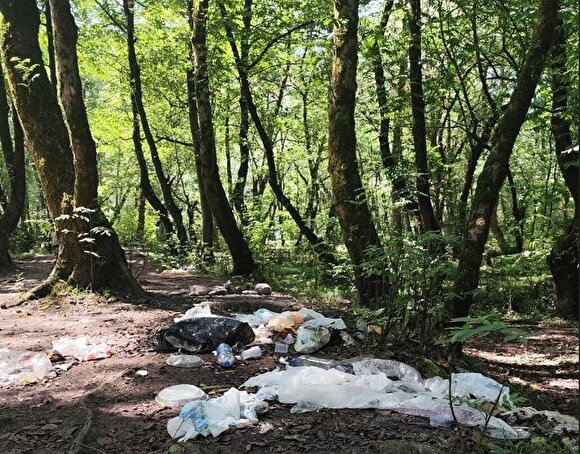 عکس/ عوارض سفر ۲۱ میلیون نفری به این استان