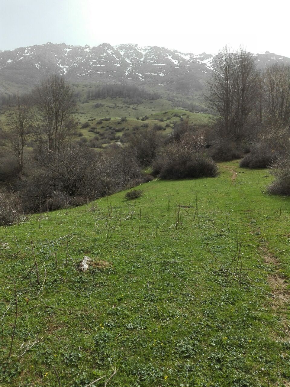 عکس/ زیبایی‌های راشه وکوه سماموس شهرستان رودسر