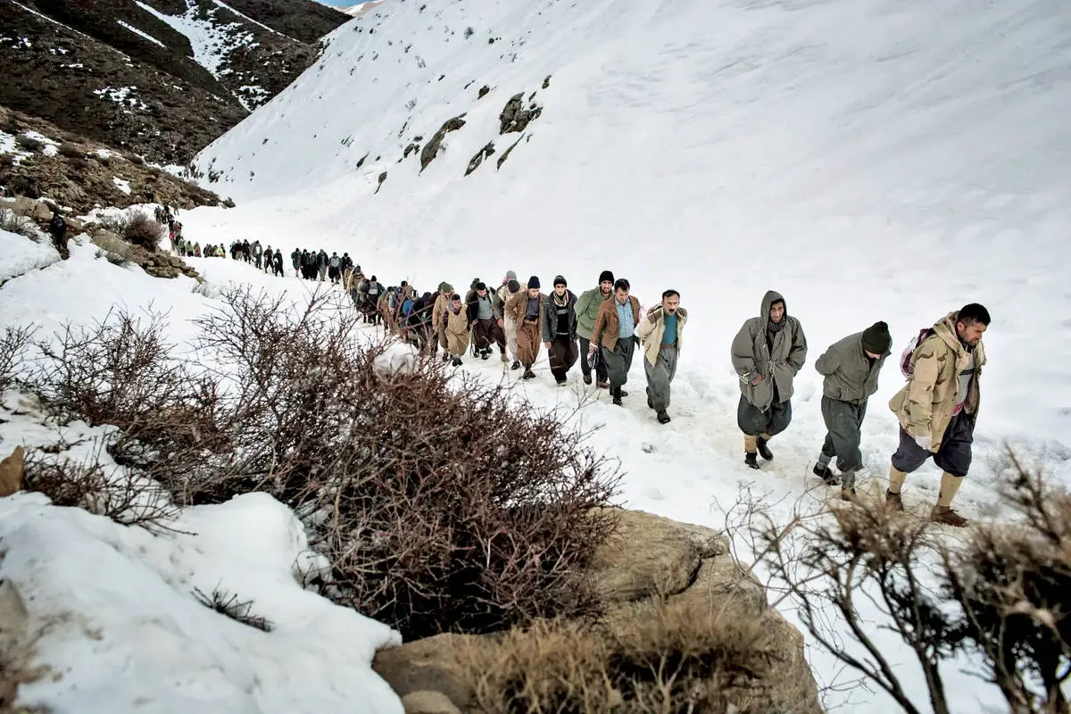 زنان کولبر