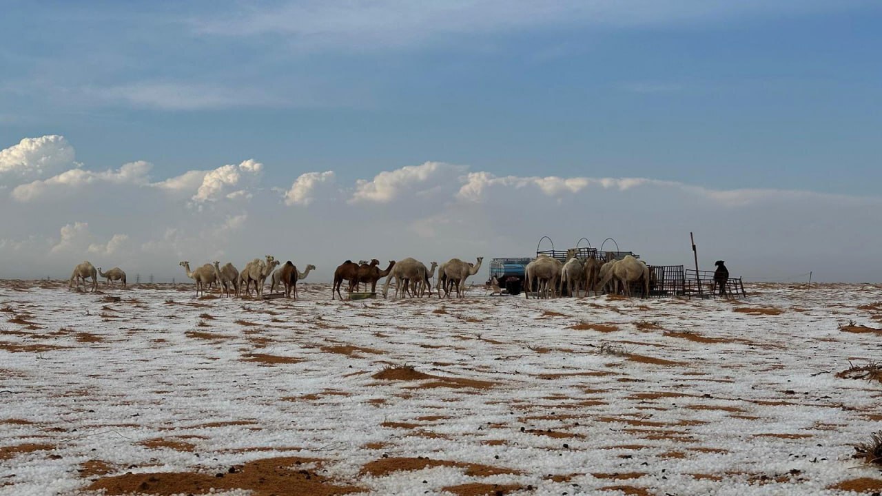 عکس/ بارش حیرت‌انگیز برف و تگرگ در عربستان