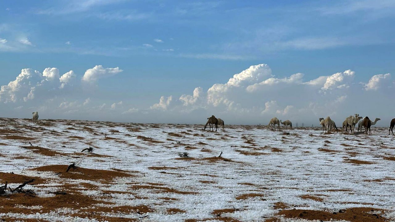 عکس/ بارش حیرت‌انگیز برف و تگرگ در عربستان