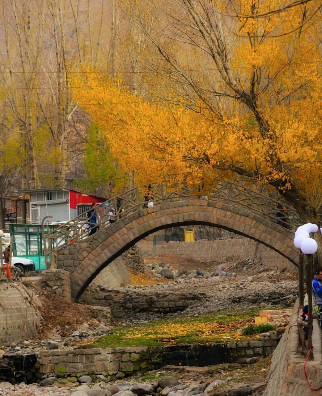 عکس/ کندوان تماشایی در پاییز