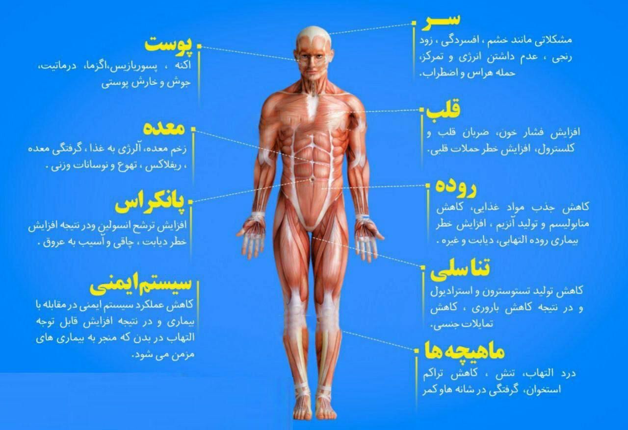 استرس اینگونه بدن را نابود میکند!