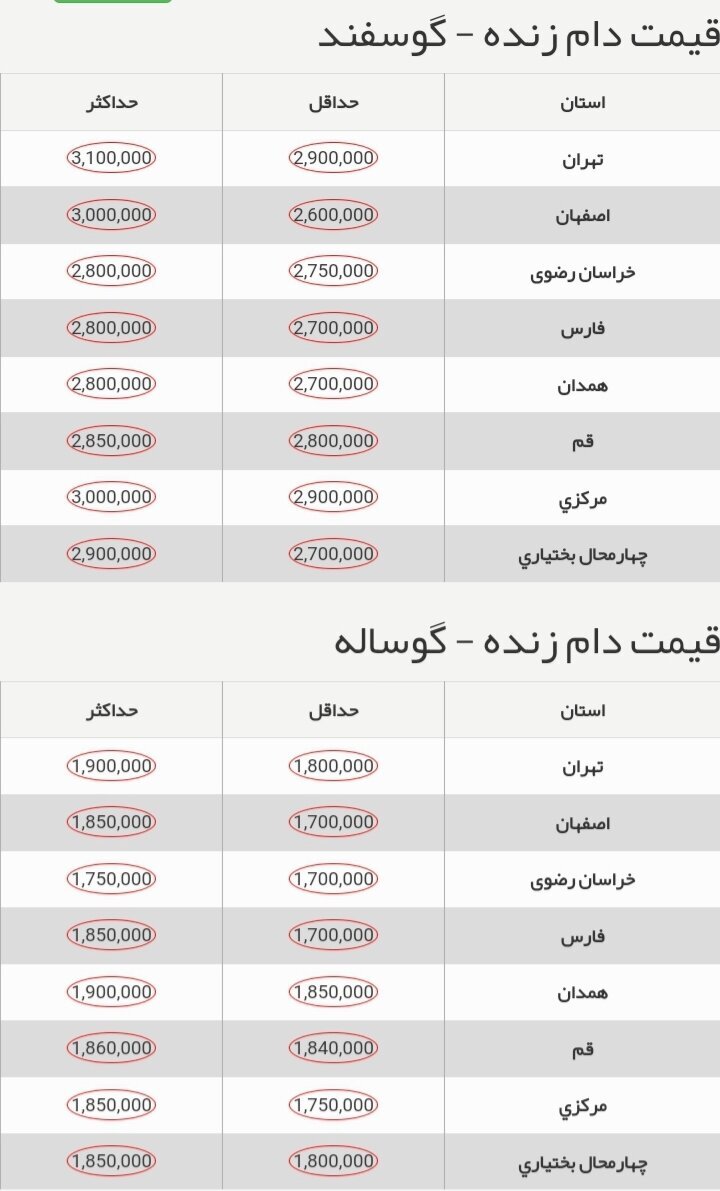 قیمت گوسفند و گوساله در بازار + جدول