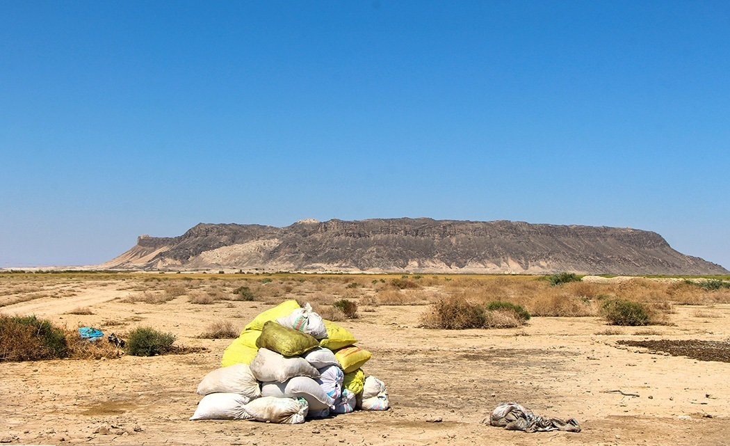 تقلا برای جان هامون