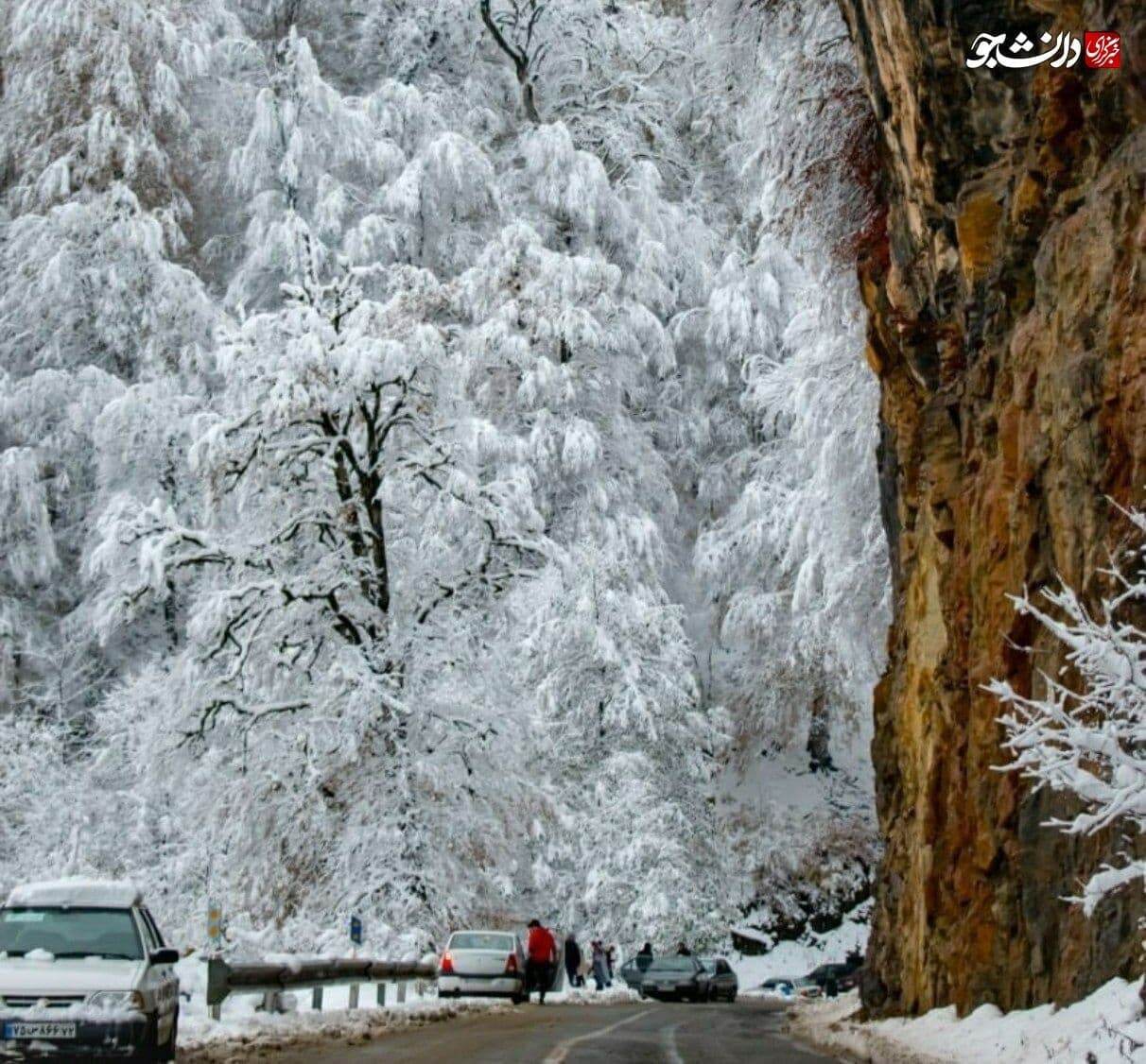 منظره دیدنی و زیبای برفی جاده دالخانی مازندران