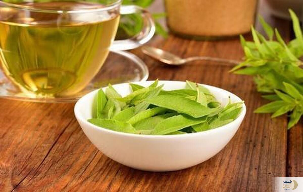 گیاه به لیمو