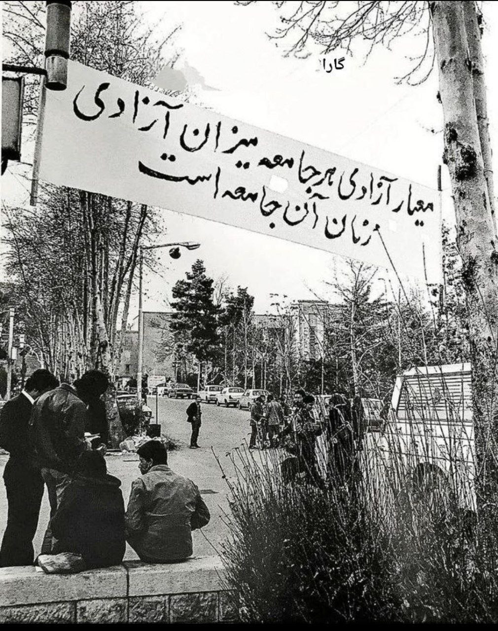 دانشگاه تهران