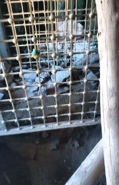 هجوم گنج‌یاب‌ها به یک امامزاده در تعطیلات نوروز