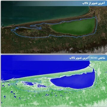 سوگ سیاوش برای پرنده‌های مهاجر میانکاله