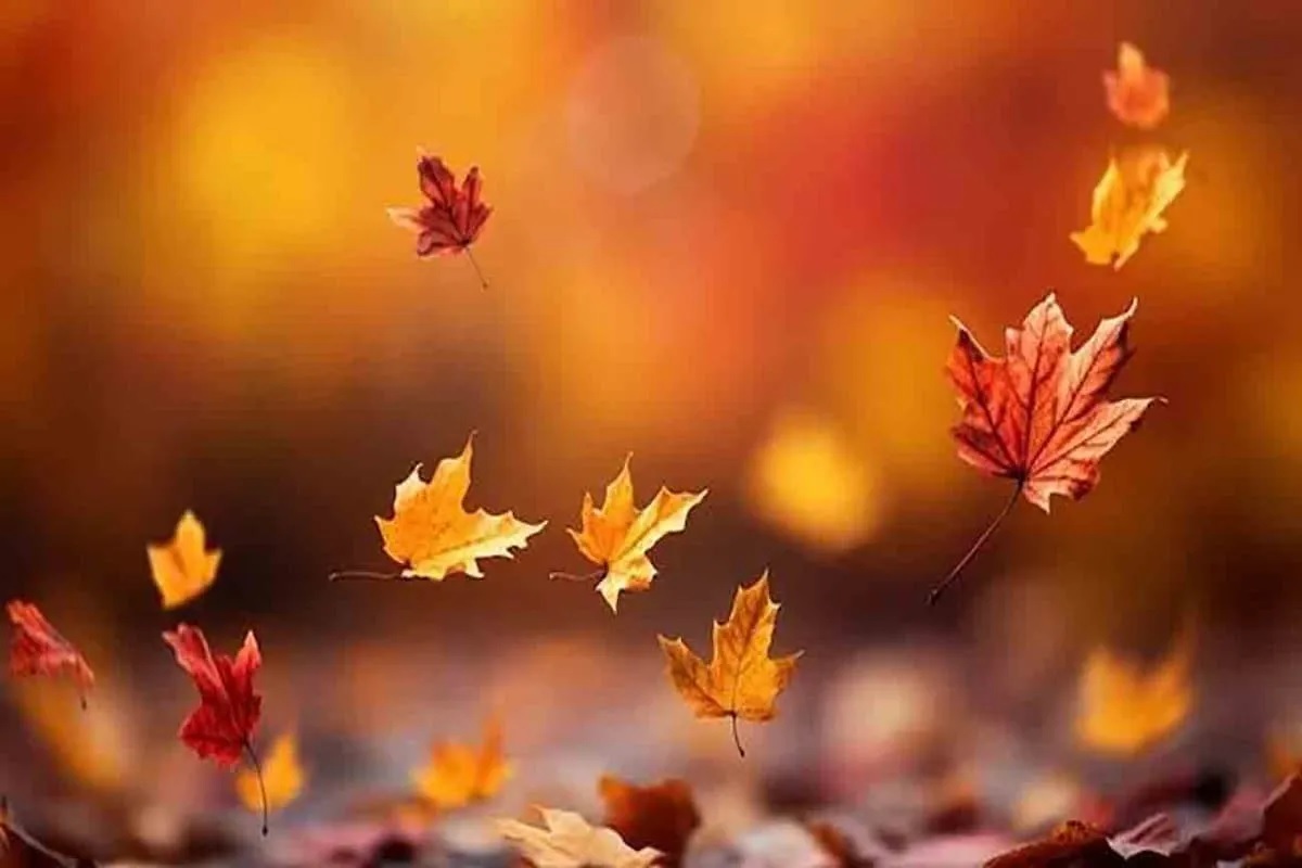 خشکسالی پاییزی در کمین ایران و خاورمیانه