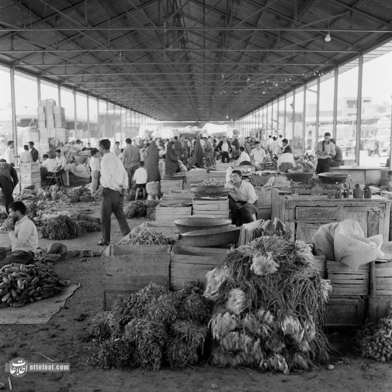 میدان میوه و تره‌بار تهران