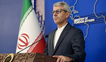 فیلم/ بقایی: انتظار ایران از آژانس تغییر نکرده است