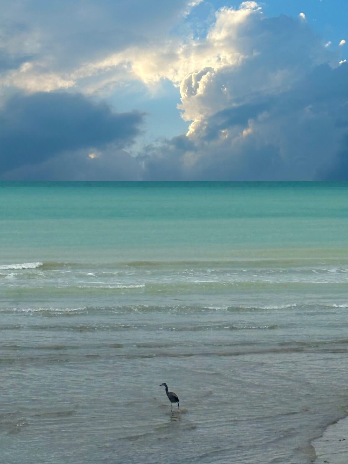 لحظاتی از سفر زمستانی الناز شاکردوست با خواهرش