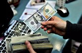 دلار در هفت سال دو وزیر و دو رییس‌کل را بلعید /آیا انفجار قیمت دلار متوقف می‌شود؟