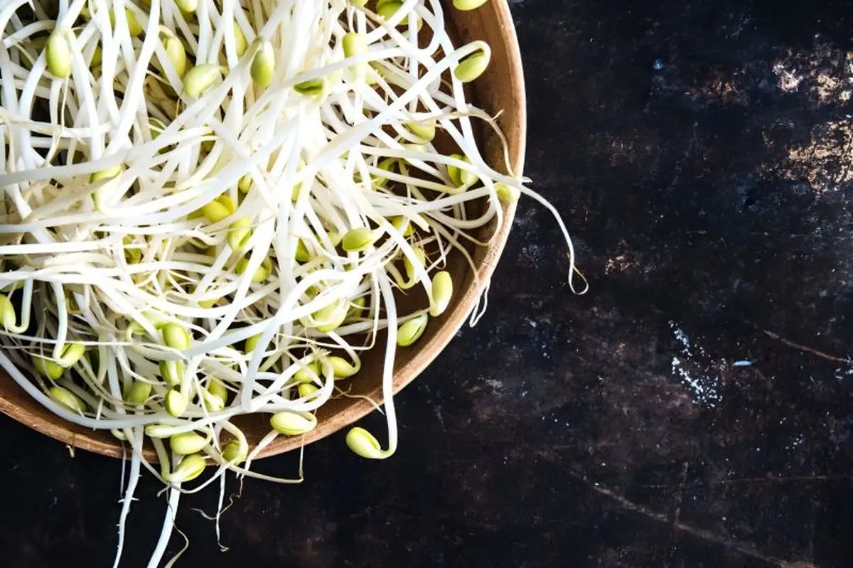 فواید جوانه‌ برای سلامت استخوان و تقویت سیستم ایمنی