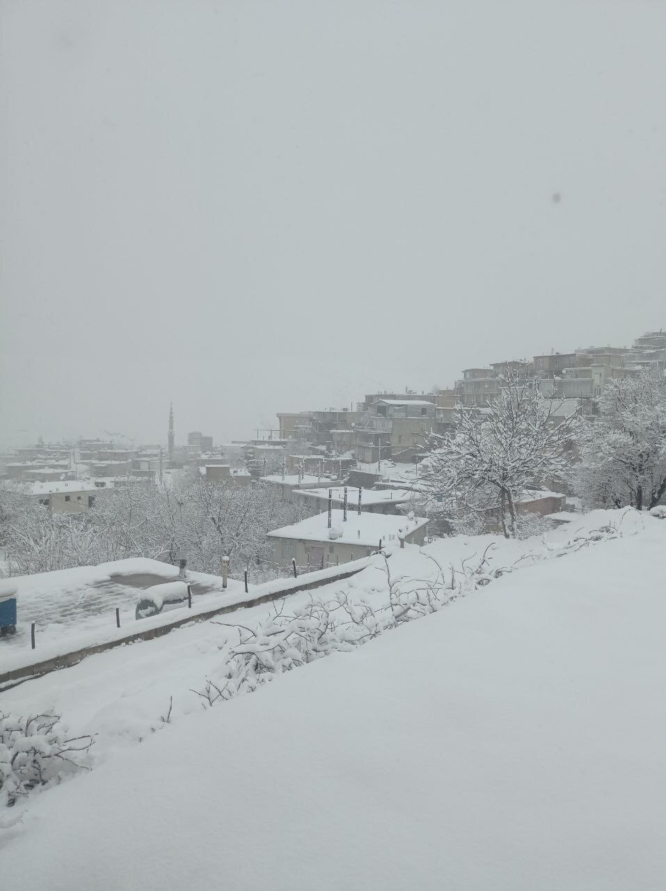 بارش بی‌سابقه برف در بانه