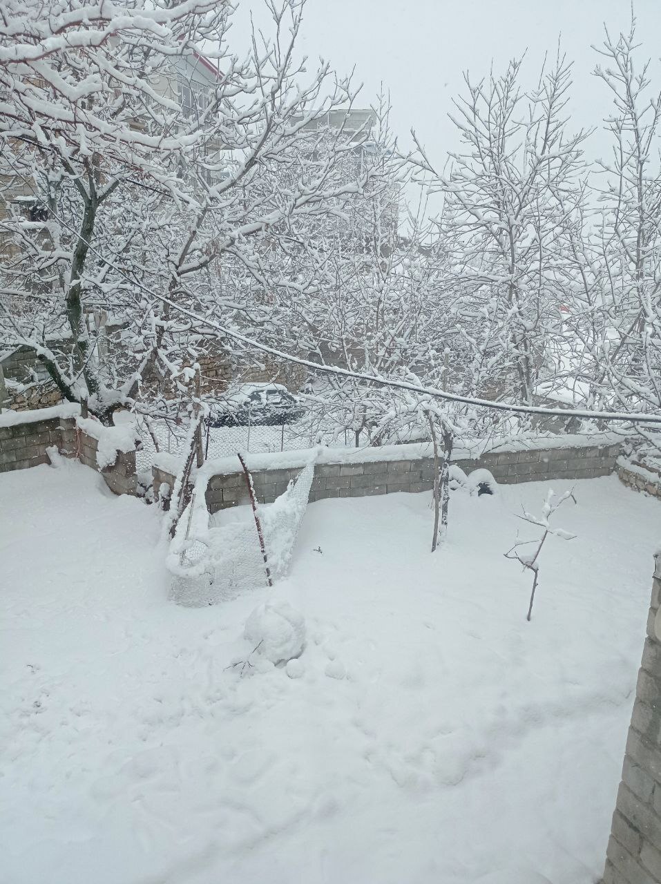 بارش بی‌سابقه برف در بانه