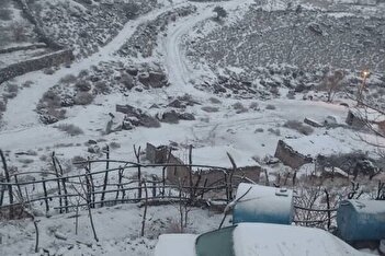 فیلم/ برف شدید عبور و مرور در این خیابان تهران را مختل کرد