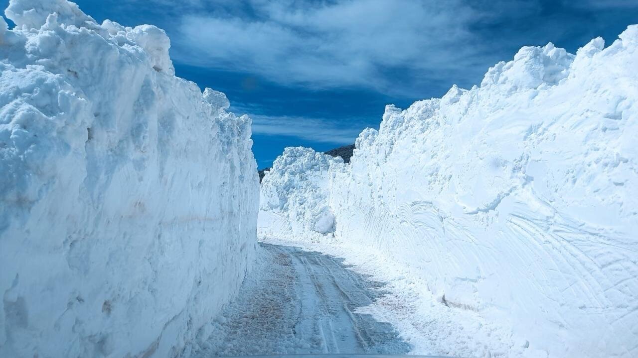 بارش برف در بانه
