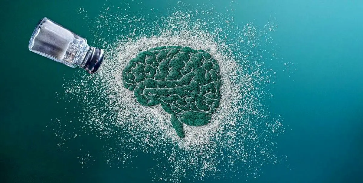 نمک و نقش آن در بر هم زدن تعادل مدارهای عصبی