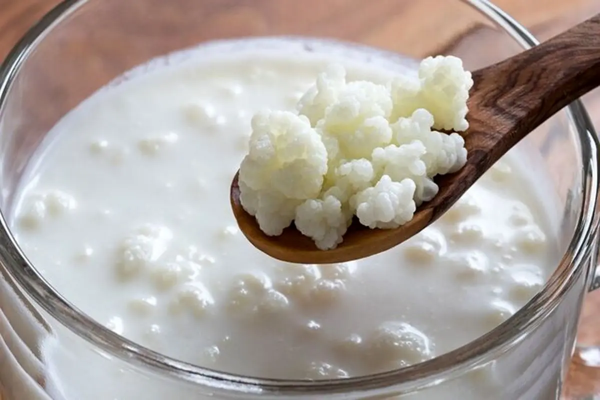 اثر کفیر بر سلامت و جوان ماندن بدن