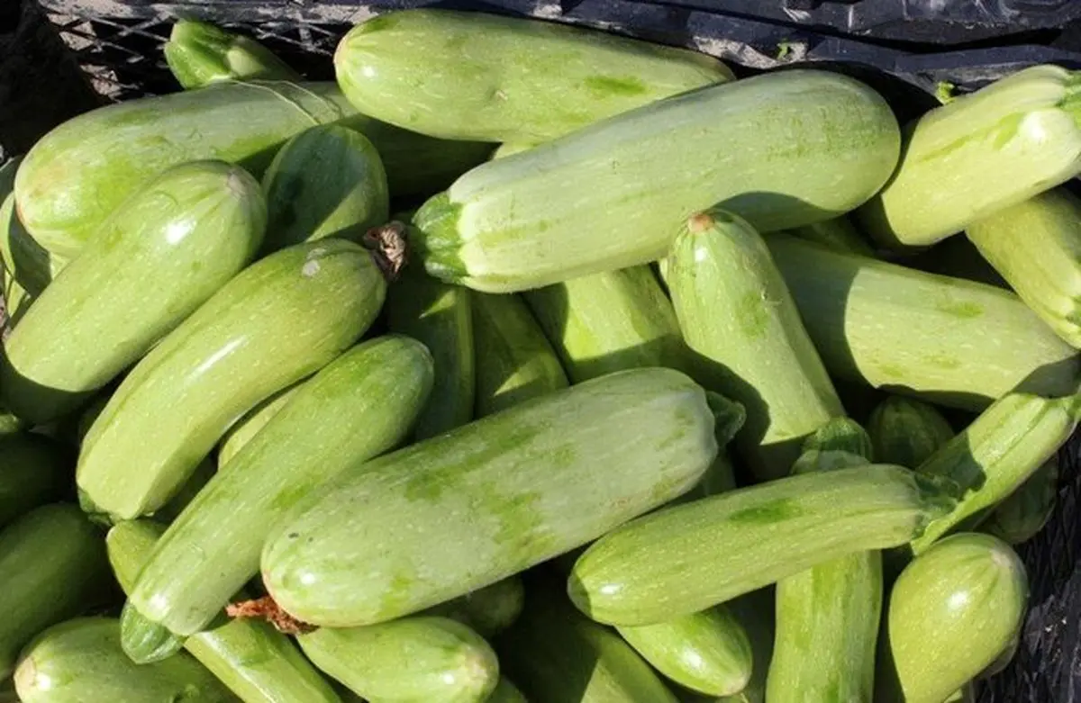 خوردنی برای کاهش نفخ